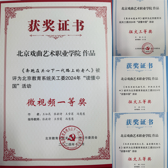 4.“读懂中国”获奖情况 4.“读懂中国”获奖情况