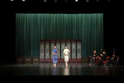 4. 梅花大鼓《宝玉探病》片段-1