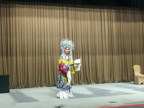 4叶晋材表演《戏梦人生》_调整大小