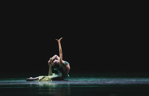 三等奖 作者：谭旭_调整大小