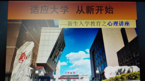 适应大学、从新开始_调整大小