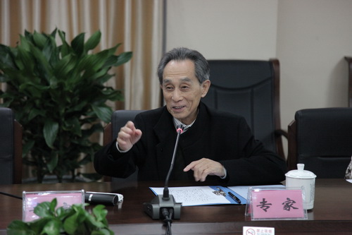 18专家李玉声对演出进行点评_调整大小