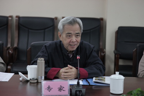 15专家陈志清对演出进行点评_调整大小