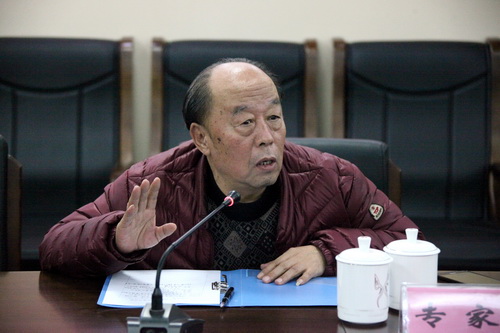 16专家刚立民对演出进行点评_调整大小