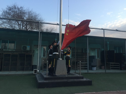 3、五星红旗冉冉升起，迎风飘扬_调整大小