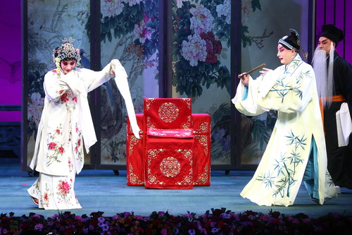 1剧照_调整大小