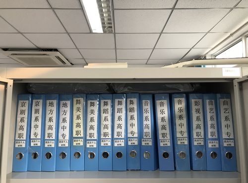 nEO_IMG_1老旧团员档案的整理及归档