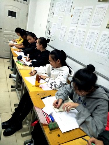 16中专评剧19 写宪法学习心得