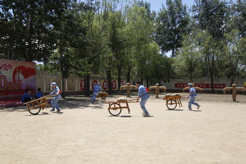 13.同学们体验独轮车运粮