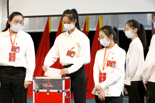 37.代表进行投票