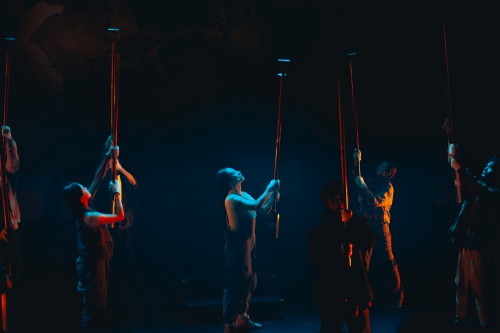 _MG_0732-已增强-降噪