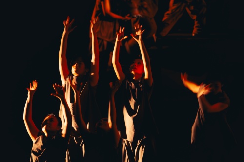 _MG_1080-已增强-降噪