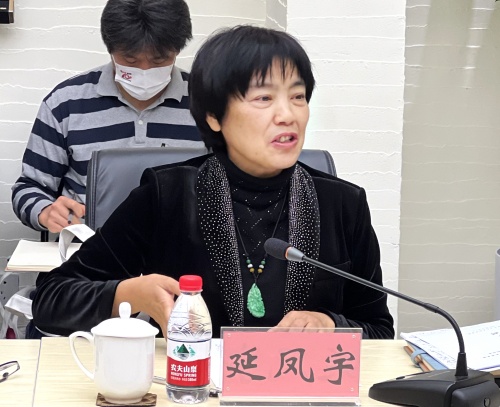 5河北艺术职业学院副院长延凤宇交流发言