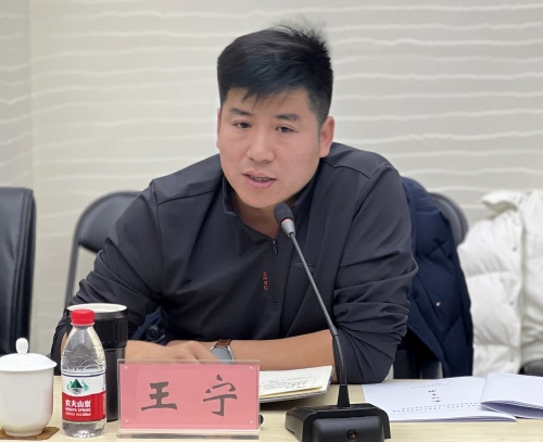 6石家庄市艺术学校副校长王宁交流发言