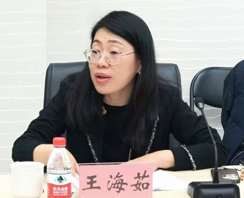 11北京市海外文化交流中心副主任王海茹交流发言