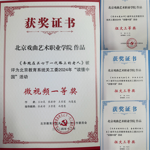 4.“读懂中国”获奖情况