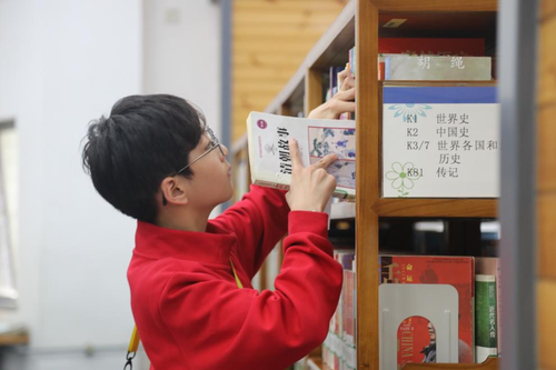 图片4