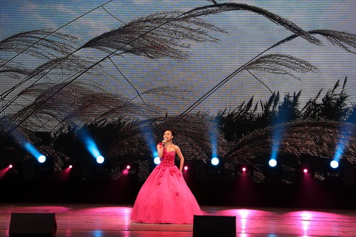 C63R1495_璋冩暣澶у皬