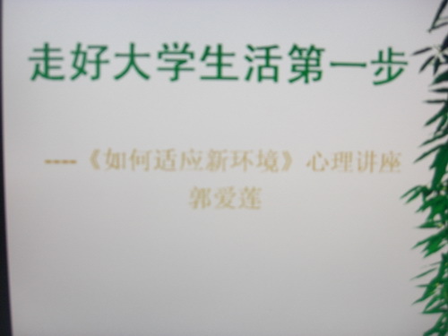 CIMG6965_璋冩暣澶у皬