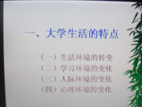 CIMG6966_璋冩暣澶у皬