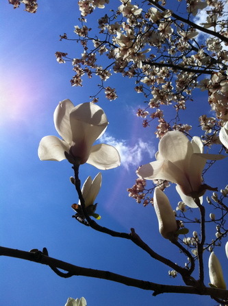 2涓€绛夊銆婃槬鍏夋棤闄愬ソ1銆嬩綔鑰咃細鏉滆幑_璋冩暣澶у皬