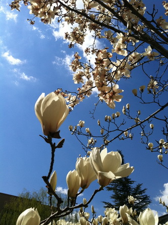 16涓夌瓑濂栥€婃槬鍏夋棤闄愬ソ3銆嬩綔鑰咃細鏉滆幑_璋冩暣澶у皬