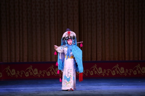 IMG_0754_调整大小