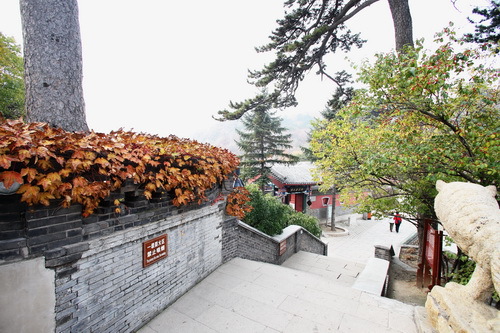 C63R6053_调整大小