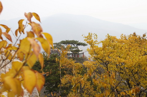 C63R6060_调整大小