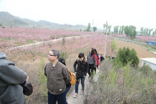 C63R5521_调整大小