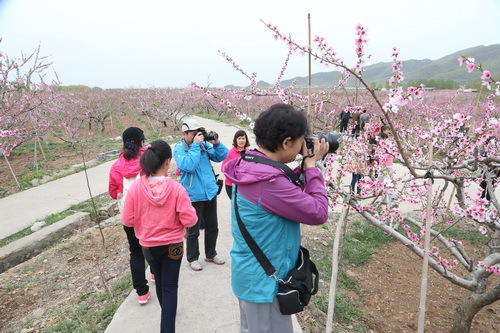 C63R5548_调整大小