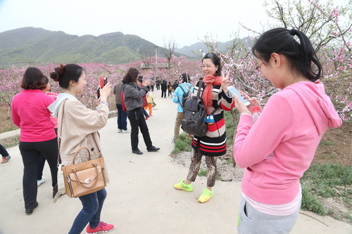 C63R5550_调整大小