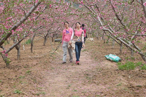 C63R5712_调整大小