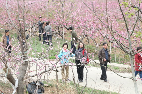 C63R5542_调整大小