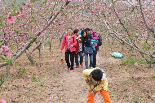 C63R5733_调整大小