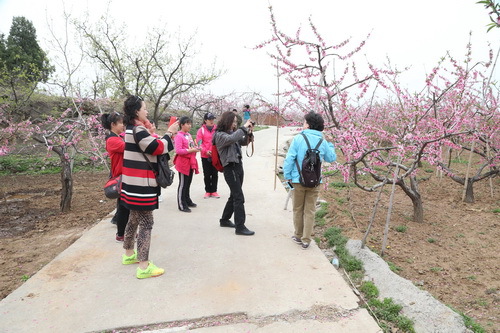 C63R5559_调整大小