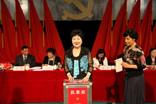 3大会进行投票选举_调整大小